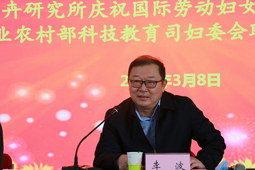 麻豆社