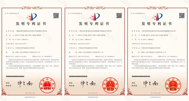 麻豆社