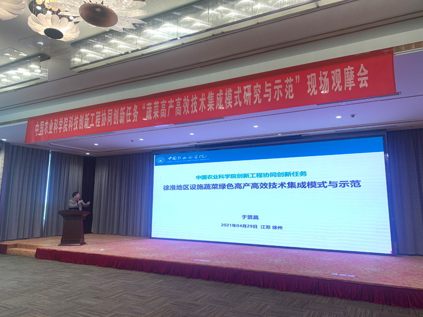 麻豆社