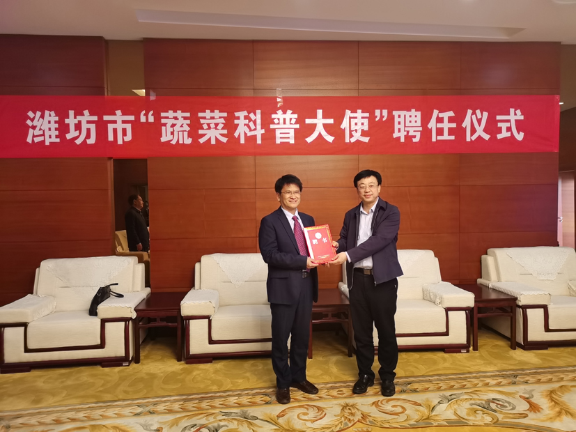 麻豆社