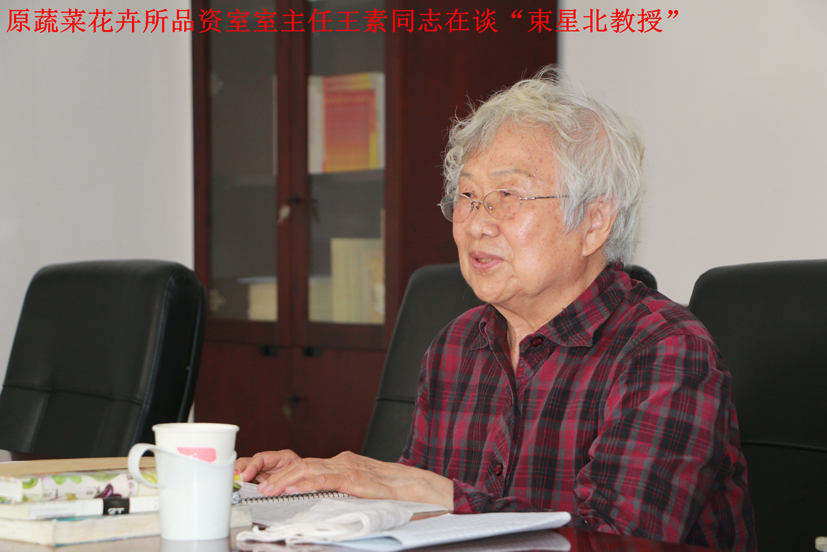 麻豆社