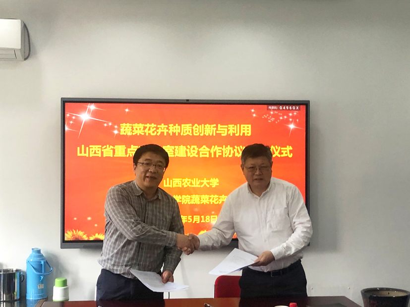 麻豆社