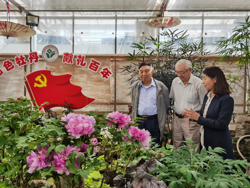 麻豆社