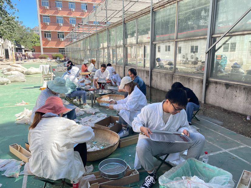 麻豆社