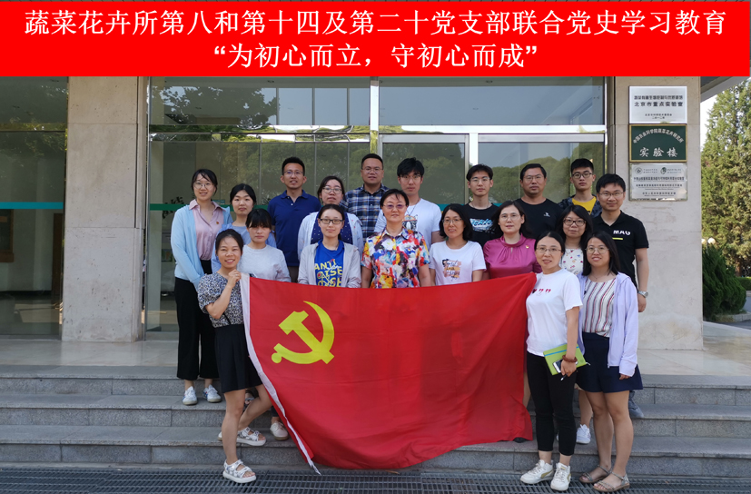 麻豆社