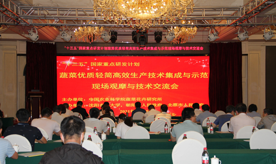 麻豆社