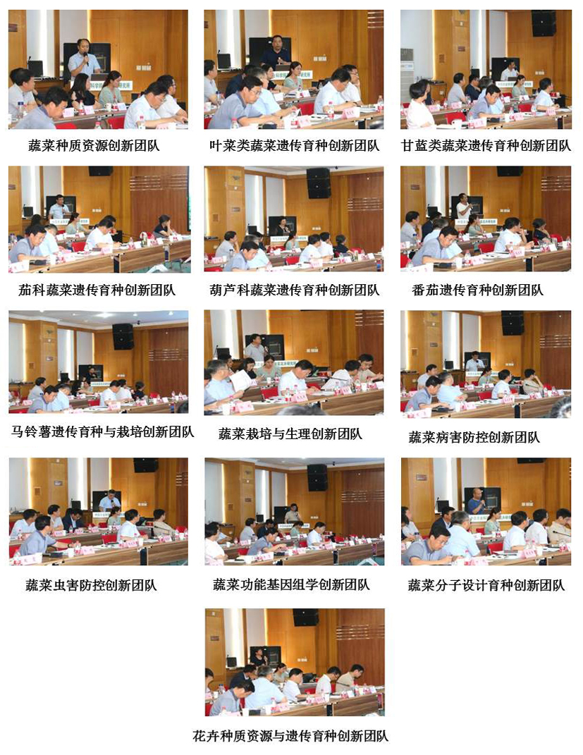 麻豆社