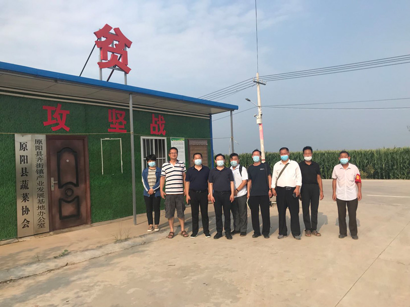 麻豆社