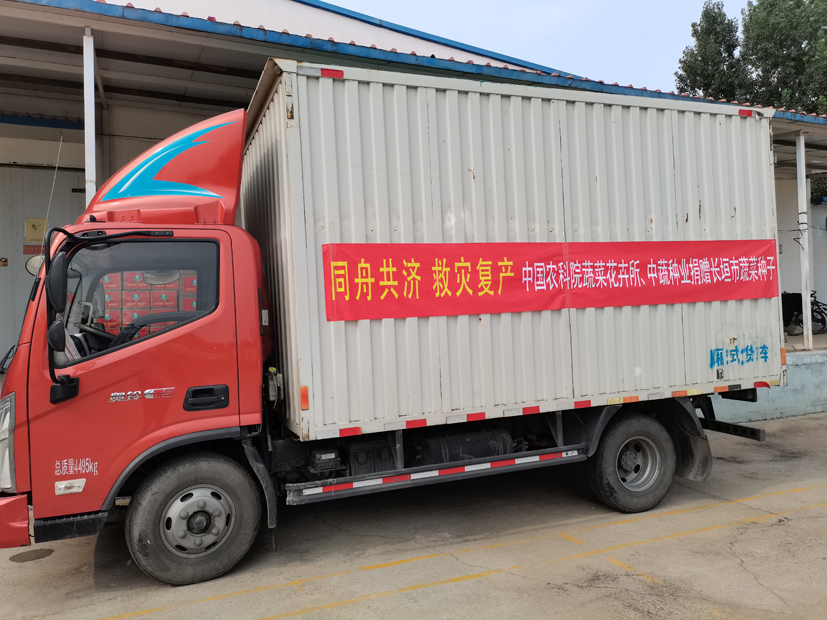 麻豆社
