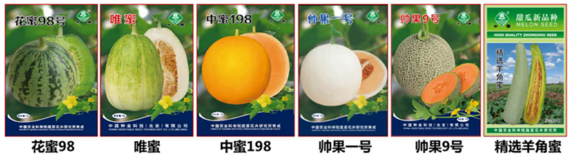 麻豆社