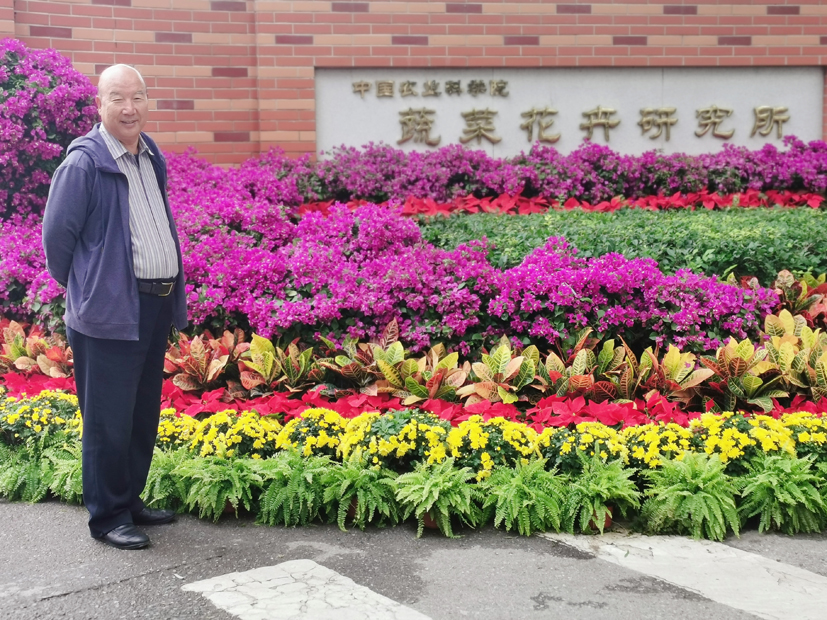 麻豆社