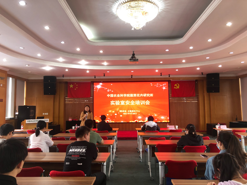 麻豆社