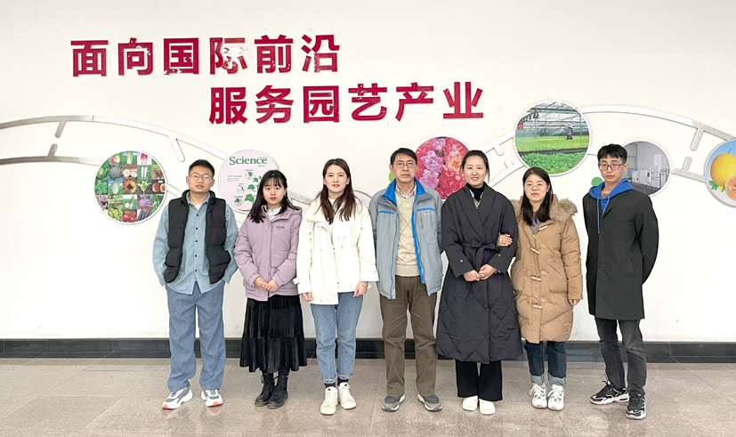 麻豆社
